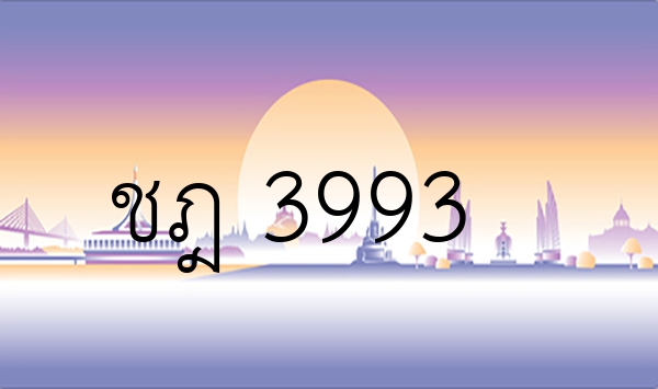 ชฎ 3993